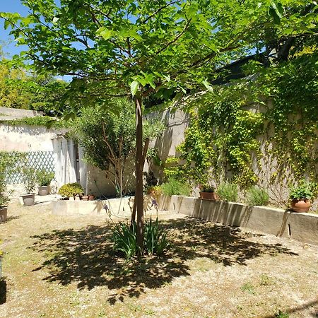 Appartement Au Coeur De Cassis Avec Jardin Exteriér fotografie