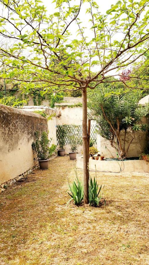 Appartement Au Coeur De Cassis Avec Jardin Exteriér fotografie