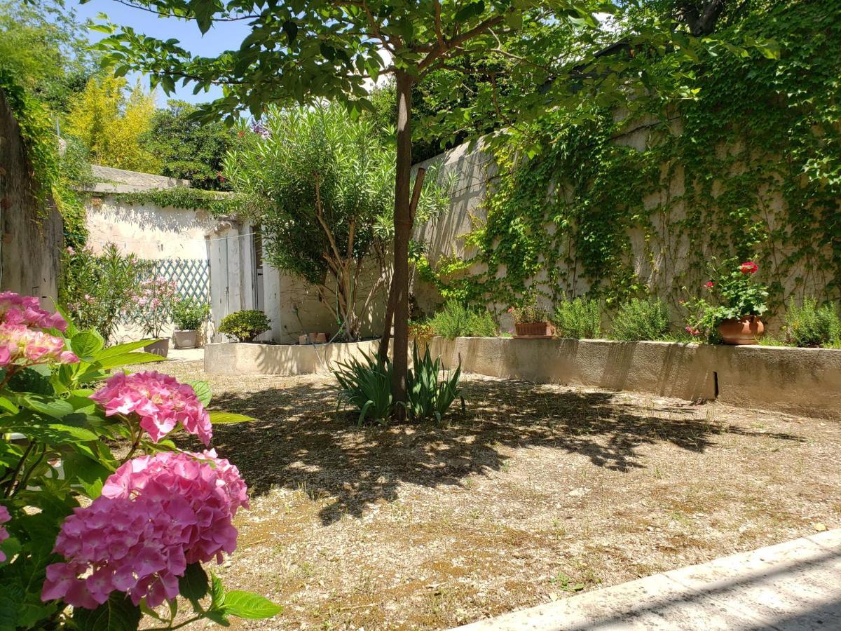 Appartement Au Coeur De Cassis Avec Jardin Exteriér fotografie
